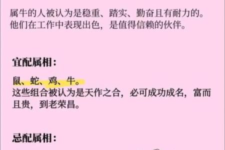 94年属什么的生肖是什么命 94年属什么的生肖配对