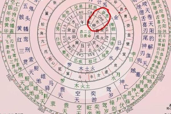 紫薇斗数命宫酉宫