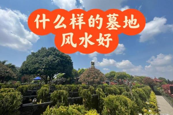 这种风水好，能造福后代易出贵人！