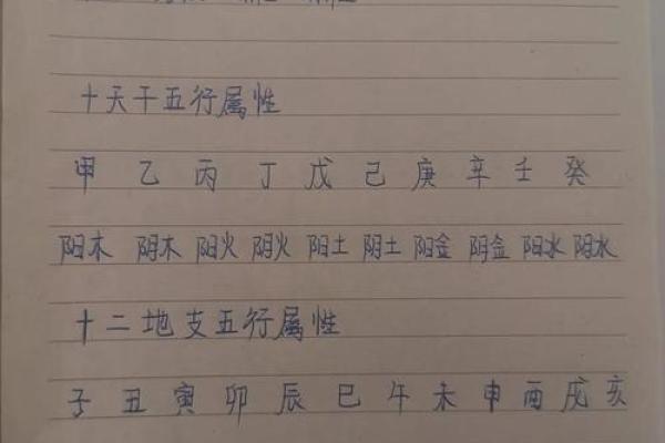 易经网算命