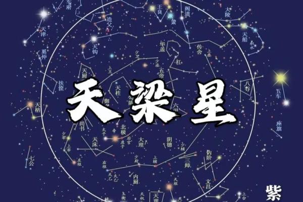 紫微斗数大限紫薇天相