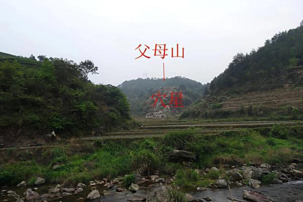 老房子里种什么好看风水