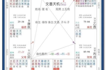紫薇斗数怎么看未来妻子