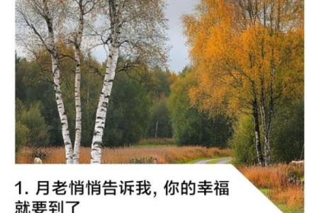 管姻缘的不是月老文案 管姻缘的除了月老还有谁？