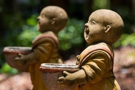 双童子命的大人物 , 算命的说有童子是什么意思