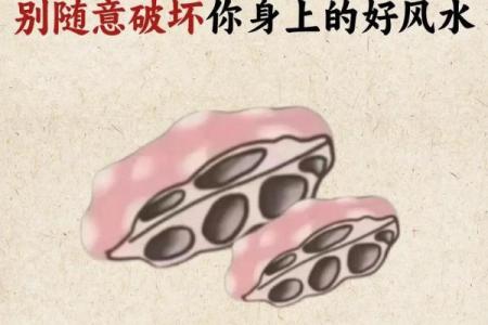 风水和财运：居家生活不利因素