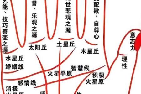 民间手相和指纹的算命口诀顺口溜
