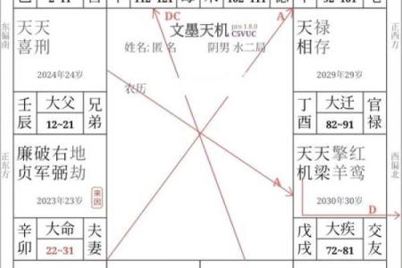 紫薇斗数的申宫是什么五行