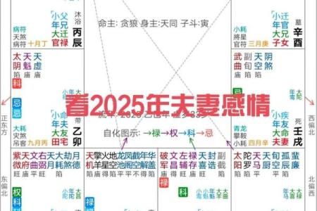 紫薇斗数感情分析