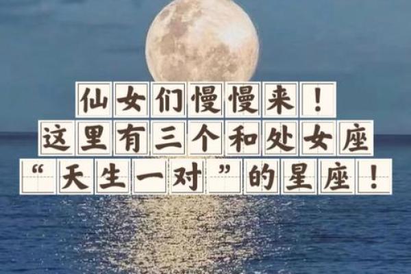 跟处女座天生一对的星座有哪些