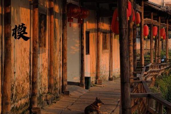 月白风清八字格局解释