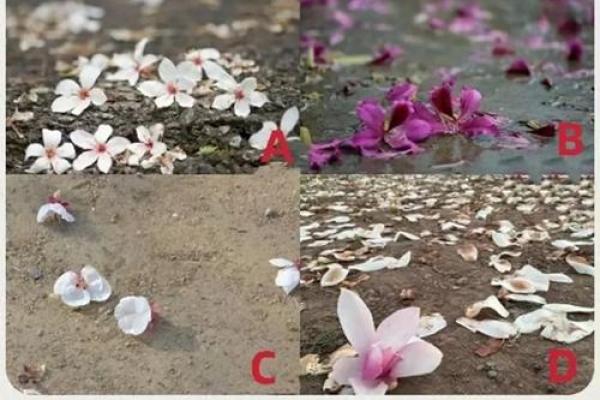 【神准测试】最近三个月事业会如何发展？