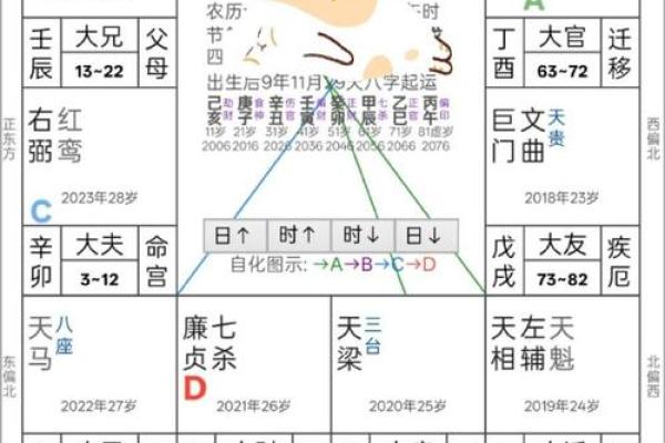 紫微斗数适合看什么方面 紫微斗数看的准吗？