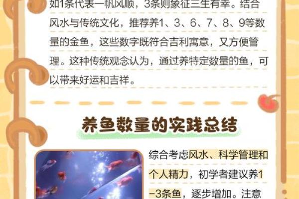 家庭中养鱼，要注意的风水详解