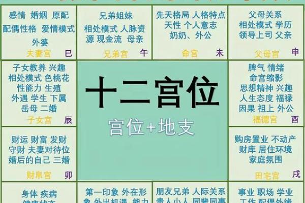 紫薇斗数的天罗地网