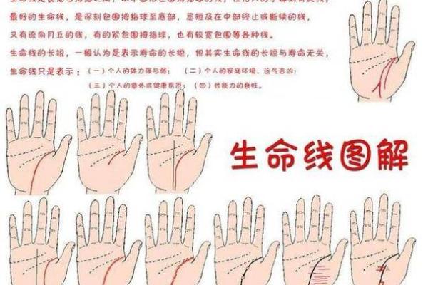 男人断掌手相算命,男人掌纹图解算命