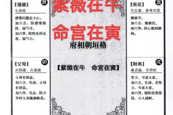 紫薇与斗数