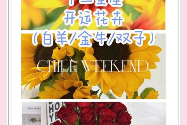 每个星座适合是么花
