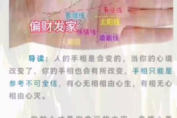 手相算命,女人手相成功线图解