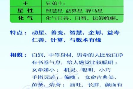 紫微斗数天机星的学习摘录分享