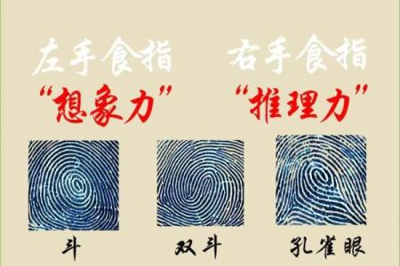 4个斗的男人是什么命 手指斗的数量代表什么命