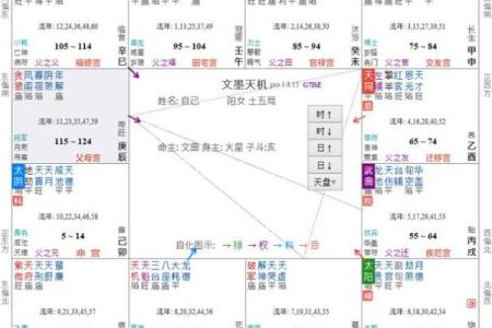 紫微斗数化忌对照 紫微斗数化忌入各宫？