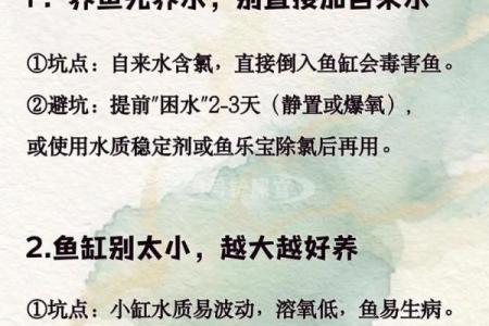 家庭中养鱼，要注意的风水详解