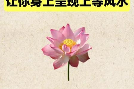 开运的风水方法有哪些？请查收