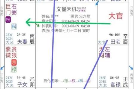 紫薇斗数看自己财
