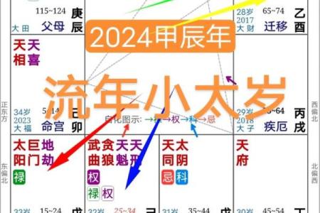 《紫微斗数》：廉贞破军在卯酉宫