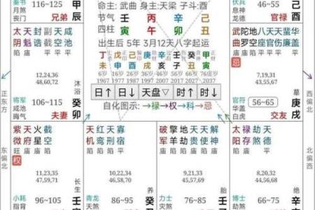 紫薇斗数如何看工作