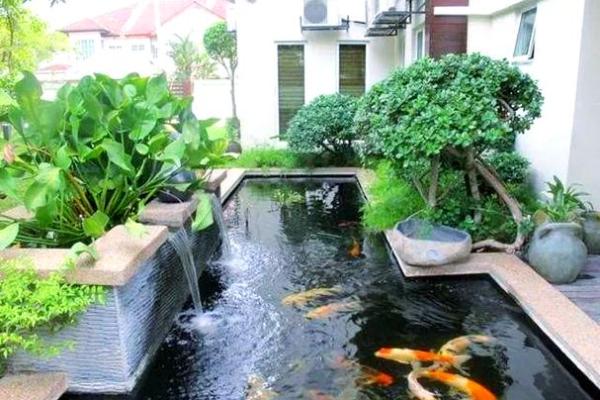 家庭鱼池风水 家庭鱼池风水摆放