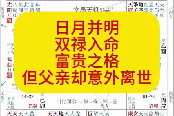 紫薇斗数力士是什么意思