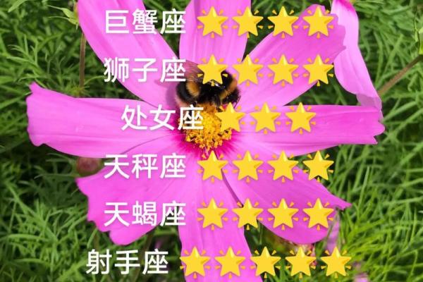 2024七月白羊星座运势