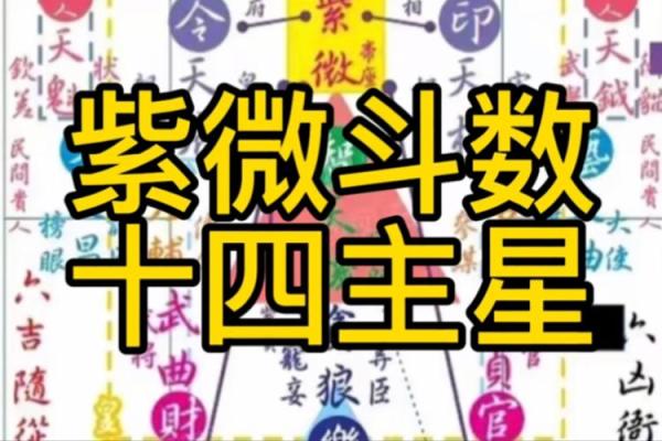 子由紫薇斗数