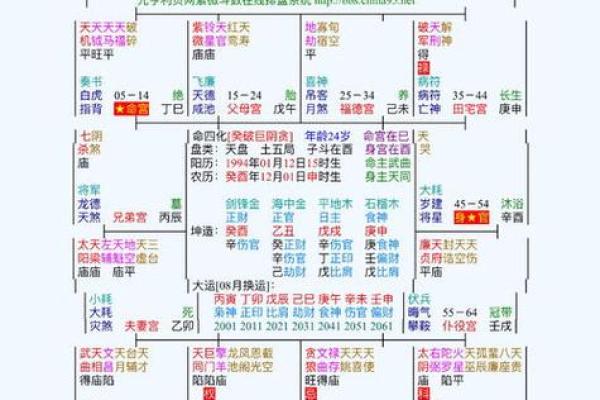 子由紫薇斗数