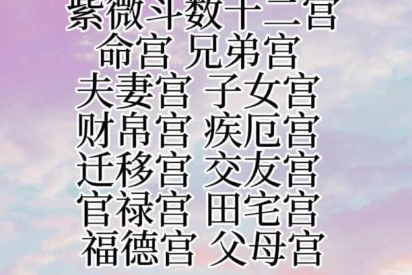 紫薇斗数壬寅年运