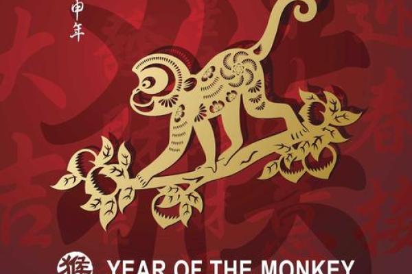 属虎哪个星座运势更好