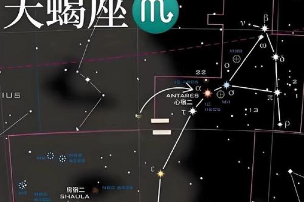 生命灵数5像什么星座
