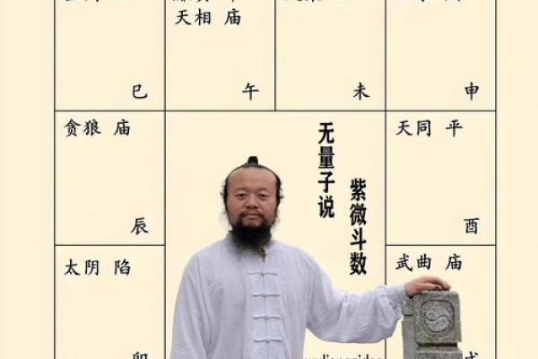 紫薇斗数身宫财帛