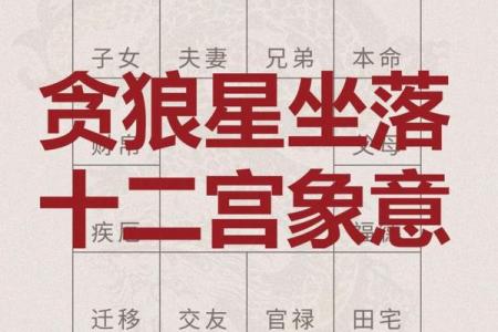 紫微斗数诸星落诸宫之：贪狼星父母宫详解
