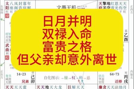 紫薇斗数力士是什么意思