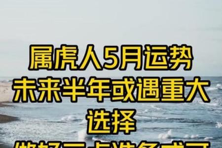 属虎哪个星座运势更好