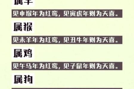 属羊出生日命运最好 五大吉日运势上乘