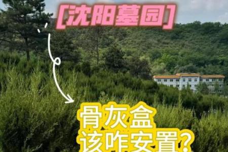 骨灰下葬日期有什么讲究或忌讳  骨灰下葬吉日