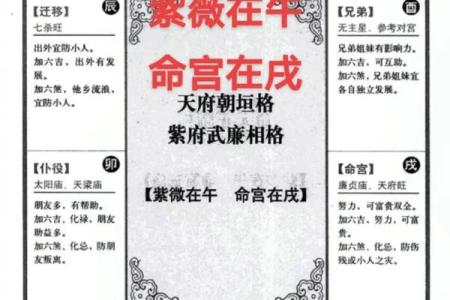 紫薇斗数科权
