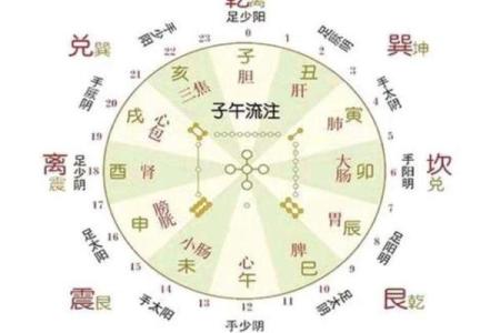 八字子午卯酉