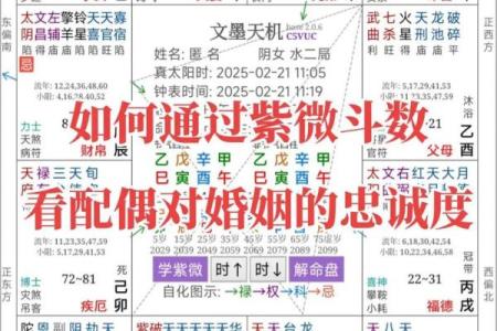 紫薇斗数配偶财富