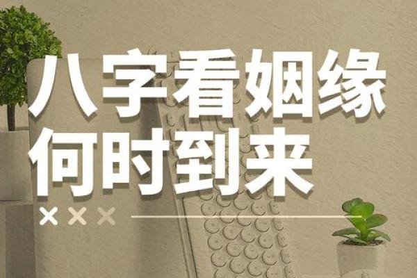 姓名八字配对测姻缘免费