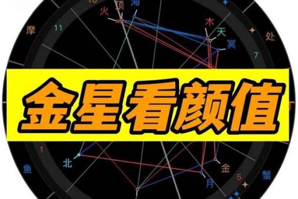 金星怎么看星座宫位好坏